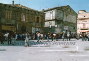 1989 tornano i cavalli a San Vitale