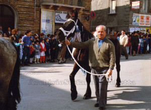 San Vitale 1989