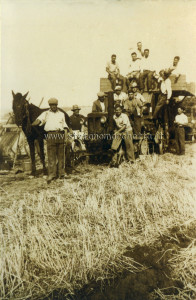 1956 trebbiatura azienda davalos.landini 50 testa calda.Ialacci Antonio con il cavallo